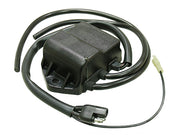 POLARIS LITE GT [1991-1998] - CDI-Box für Snowmobile
