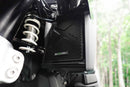 BMW R 1300 GS Option 719 Tramuntana [2024+] - Kühlerschutzgitter