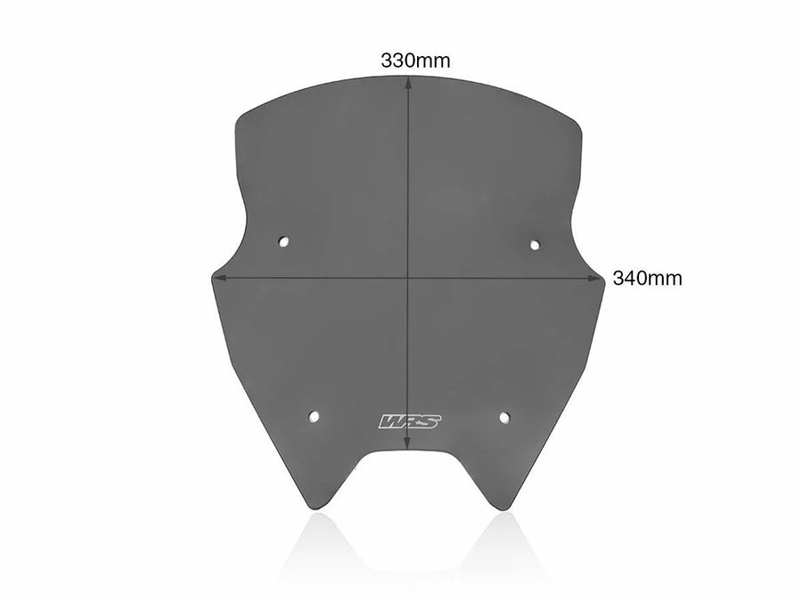 BMW R 1200 R [WRS] – Windschild Detailansicht