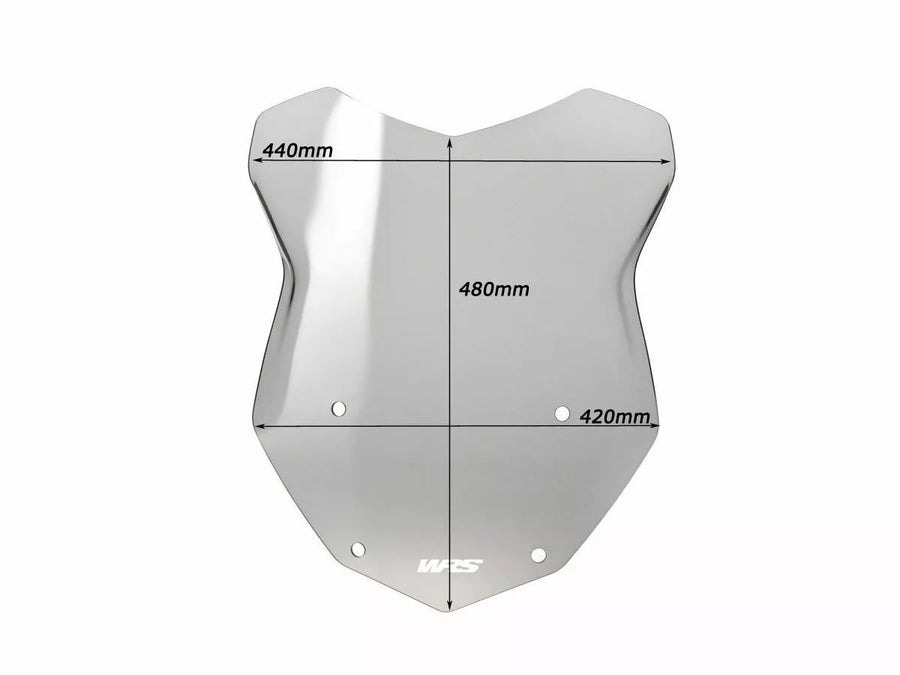 BMW R 1200 R [WRS] - windshield