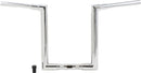 Harley Davidson Fltruse [BURLY BRAND] – Jason Lenker-1