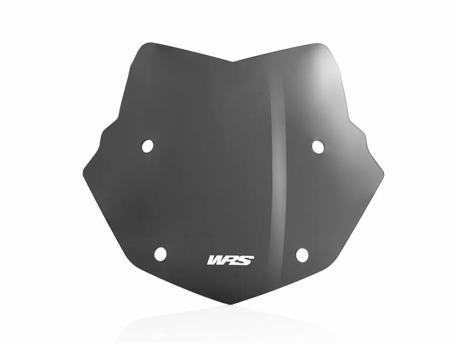 BMW R 1200 R [WRS] - windshield