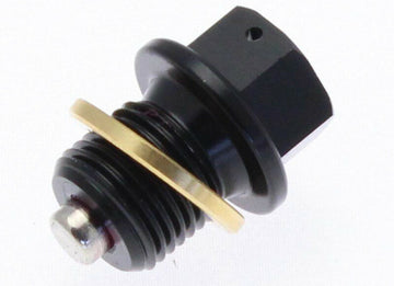 BMW R 1150 R [Tecnium] - magnetic drain screw