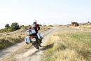 Honda No. 750 [SHAD] - TR37 Terra Topcase 10kg 37L-8
