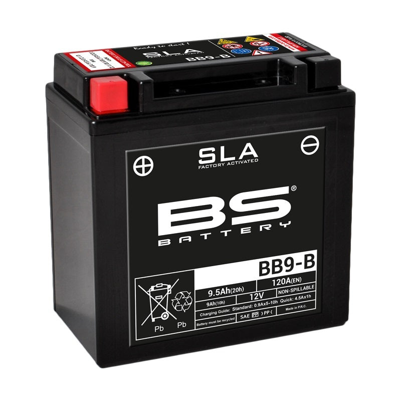 Aprilia RS 125 MPB [BS BATTERY] - Motorradbatterie