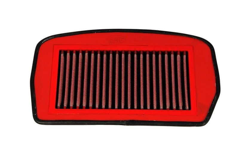 Yamaha Fz 600 S Fazer [BMC] - Air filter - FM365/04