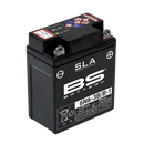 Yamaha XT 500 [BS BATTERY] - Motorradbatterie-1