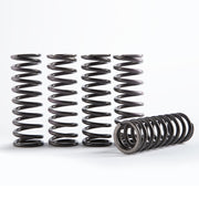Kawasaki Kx 250 [HINSON] - Kit ressorts haute température pour embrayage - Suzuki / Kawasaki