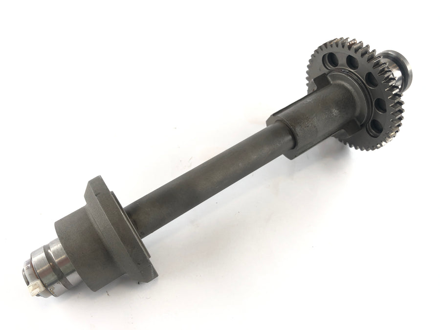 Triumph Sprint 955i RS T695 [2001] - Balance shaft