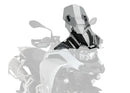 CFMOTO 450 SR [2025] – Z-Racing Scheibe – Stark getönt-1