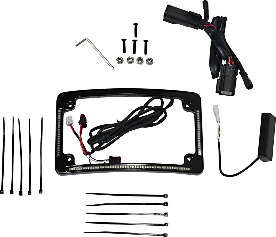 harley davidson fltruse [CUSTOM DYNAMICS] – LED radius license plate frame