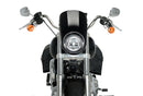 HARLEY DAVIDSON SOFTAIL LOW RIDER FXLR [2020] – Anarchy – Schwarz-7