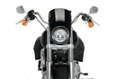 HARLEY DAVIDSON SOFTAIL LOW RIDER FXLR [2020] – Anarchy – Schwarz-5