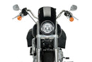HARLEY DAVIDSON SOFTAIL LOW RIDER FXLR [2020] – Anarchy – Schwarz-3