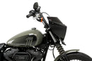 HARLEY DAVIDSON SOFTAIL STREET BOB FXBB [2019] – Mirage – Transparent-35