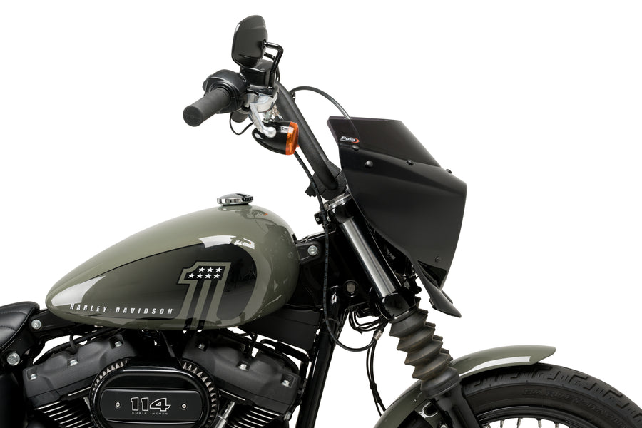 HARLEY DAVIDSON SOFTAIL STREET BOB FXBB [2019] – Mirage – Teinté
