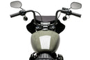 HARLEY DAVIDSON SOFTAIL STREET BOB FXBB [2019] – Mirage – Teinté-14