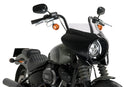 HARLEY DAVIDSON SOFTAIL STREET BOB FXBB [2019] – Mirage – Transparent-39
