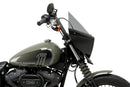 HARLEY DAVIDSON SOFTAIL STREET BOB FXBB [2019] – Mirage – Teinté-41