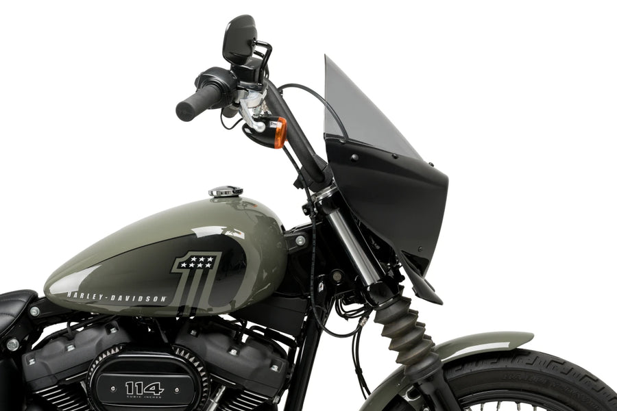 HARLEY DAVIDSON SOFTAIL STREET BOB FXBB [2019] – Mirage – Teinté