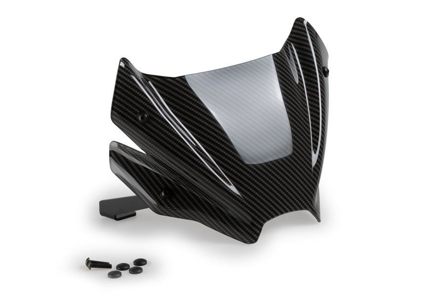 SUZUKI GSX-8S [2025] – New Generation Sport – Transparent