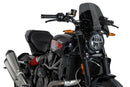 INDIAN FTR 1200 SPORT [2025] – New Generation Sport – Tinted-12