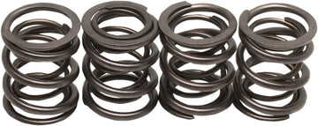 harley davidson flfb [KIBBLEWHITE] – kit de ressorts de soupape