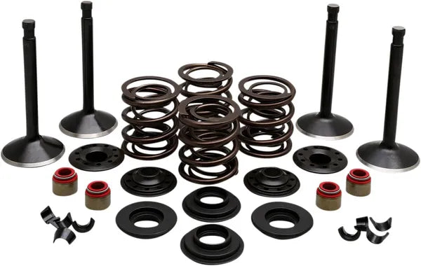 Harley Davidson Flfb [KIBBLEWHITE] – Motorventil-Kit