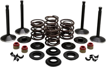 Harley Davidson FX Shovel [KIBBLEWHITE] – Motorventil-Kit