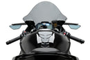 BMW S 1000 RR [2025] – R-Racer Scheibe – Stark getönt-3