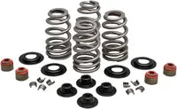 Harley-Davidson XL 1200 Sportster [2020] - Endurance Beehive® valve springs with titanium spring plates - picture 6