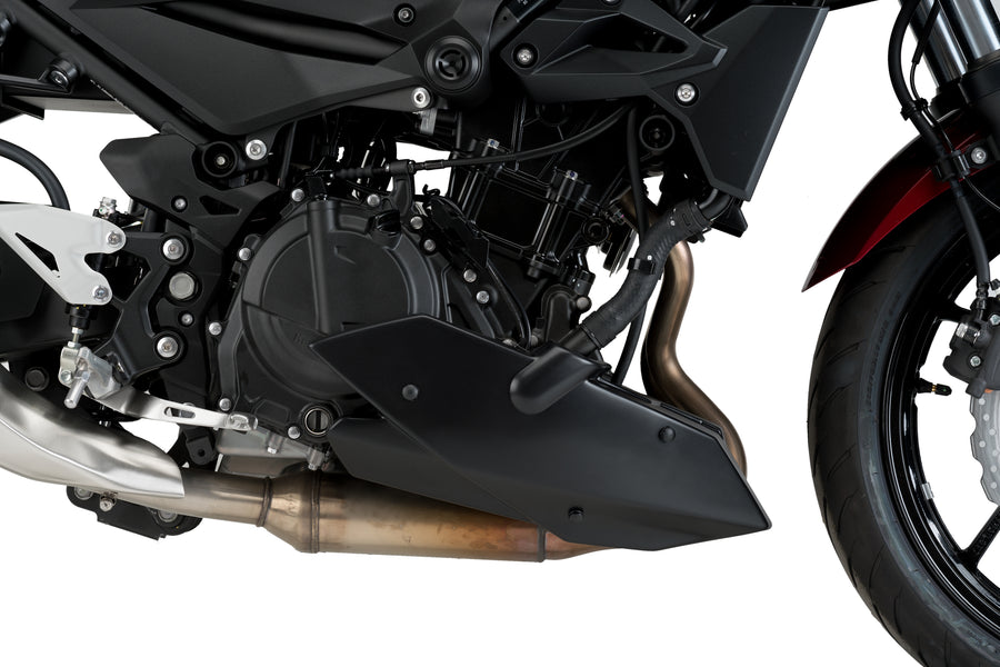KAWASAKI Z 400 [2020] – Bugspoiler – Carbon look