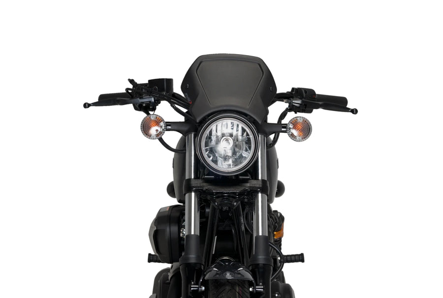 YAMAHA XV 950 R [2020] – ALU Frontplatte – Silber