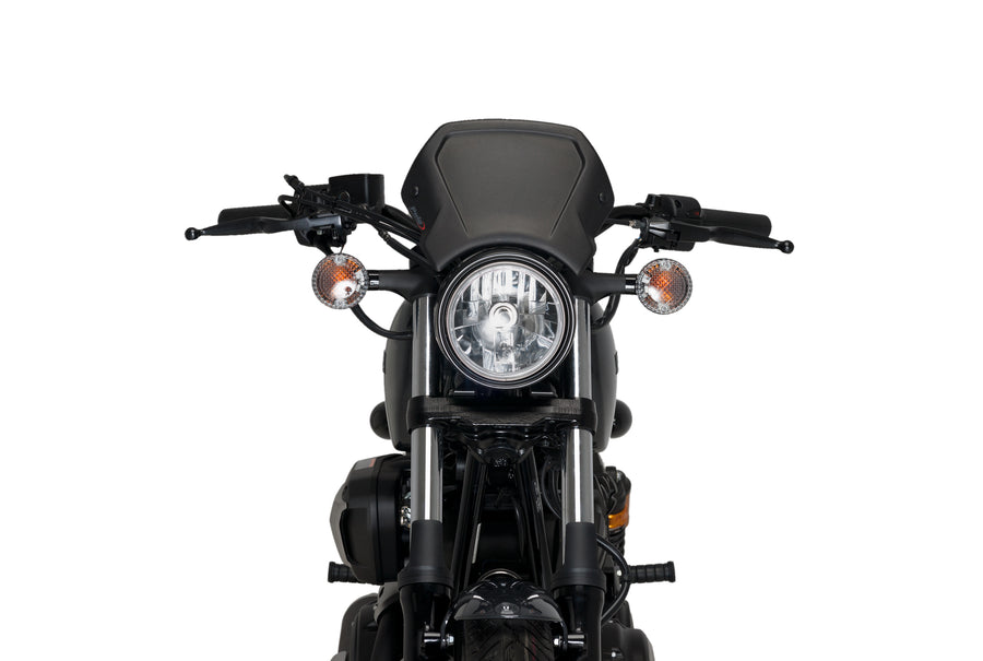 YAMAHA XV 950 R [2020] – ALU Frontplatte – Silber