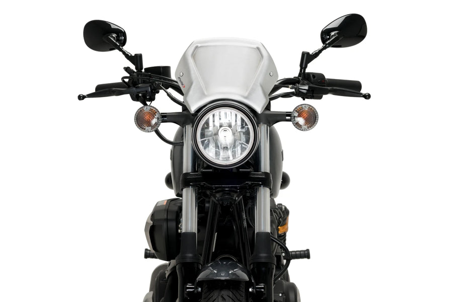 YAMAHA XV 950 R [2020] – ALU Frontplatte – Silber