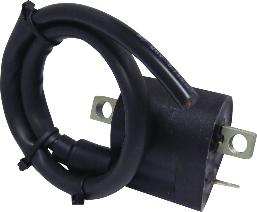 Kawasaki Eliminator 500 [PARTS EUROPE] – Zündspule