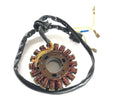 Husaberg FE 501 [2002] - Alternator Stator-1