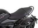 Triumph Trident 660 [2025] - Soziushaltegriff-1