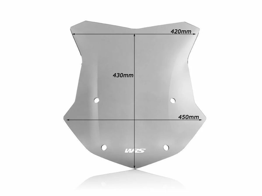 BMW R 1200 GS [WRS] – Windschild