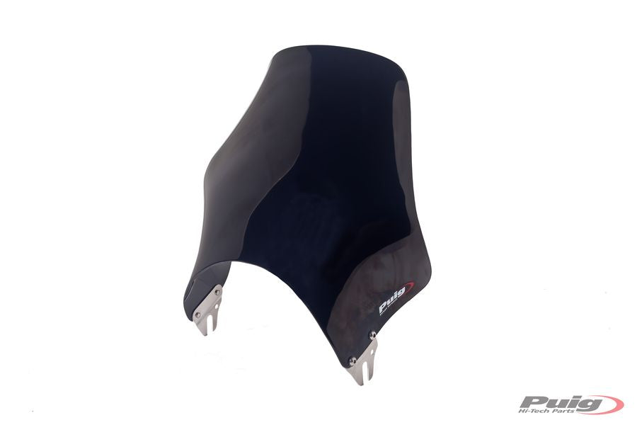 YAMAHA YBR 125 [2016] – Naked Fairing Windshield – Black