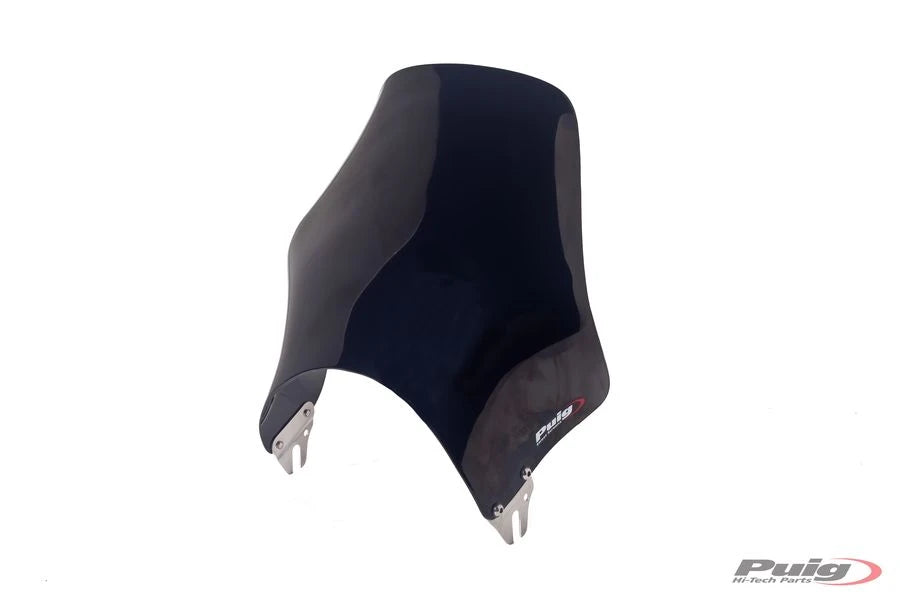 YAMAHA YBR 125 [2016] – Naked Fairing Windshield – Black