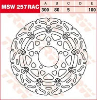 Kawasaki Z900 RS / Black Ball Edition [2026] - brake disc - picture 12