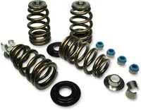 Buell S 3 Thunderbolt [1996] - Endurance Beehive® valve springs with titanium spring plates - picture 6