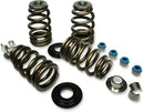 Harley-Davidson FLHTCSE 1690 EFI Electra Glide Screamin Eagle [2004] - Jeu de ressorts de soupape Endurance Beehive pour têtes Screamin' Eagle - photo 6