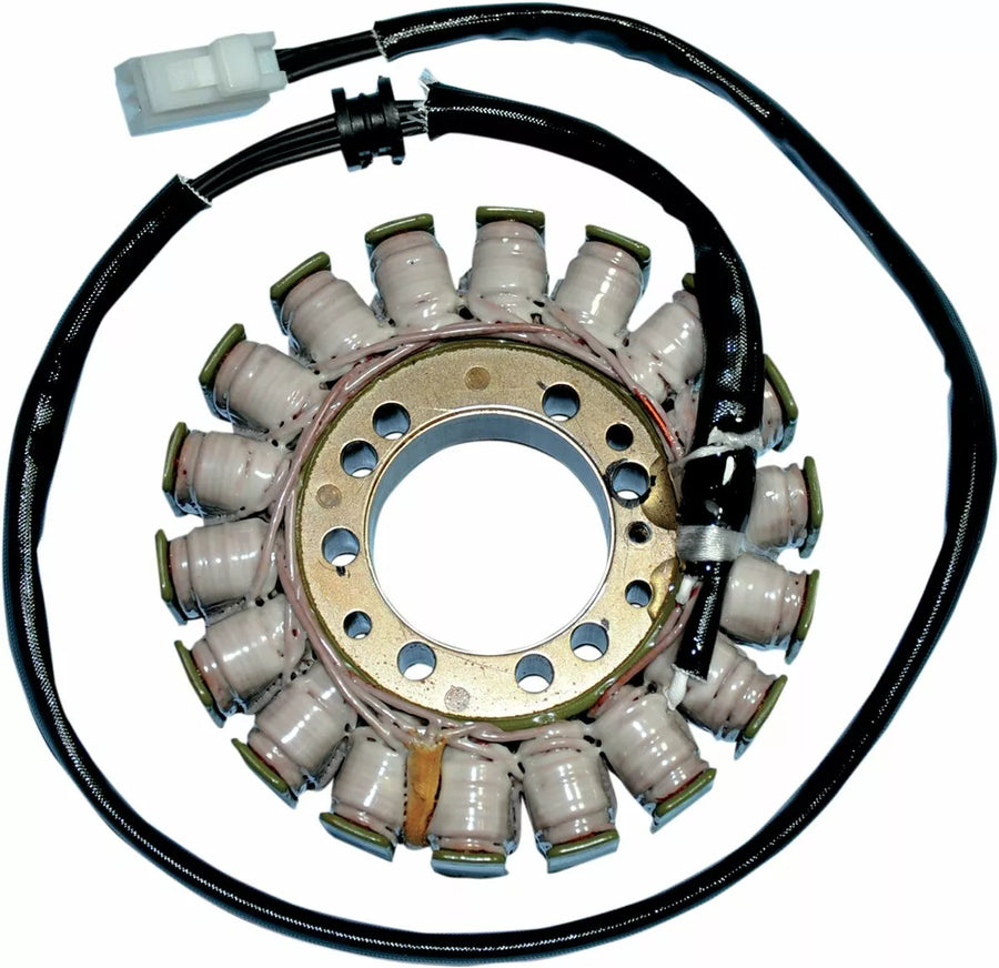 Triumph Speed Triple 1050 [RICK'S MOTORSPORT ELECTRIC] – Stator für Triumph