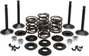 Harley Davidson FX Shovel [KIBBLEWHITE] – Motorventil-Kit
