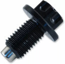 Yamaha WR 125 R [PSR] – Magnetische Ölablassschraube-3