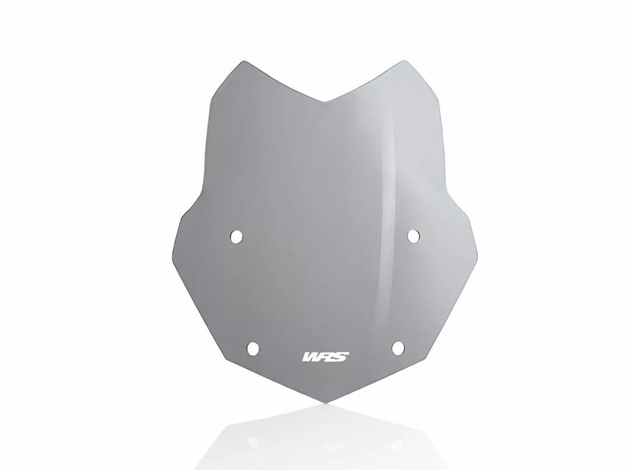 BMW R 1200 R [WRS] – Windschild