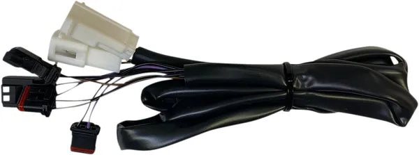 Harley Davidson Sportster [CUSTOM DYNAMICS] – ProBEAM® Integrated flat LED taillights with additional indicators