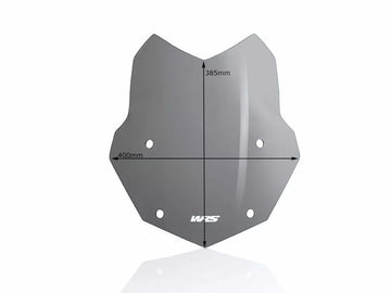 BMW R 1200 R [WRS] - windshield - 0